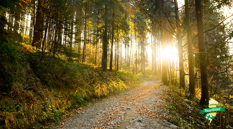 Best Sunrise Hike in Northern New Jersey